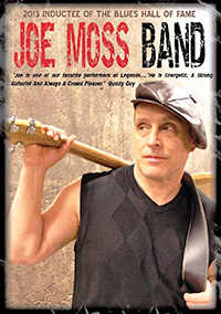 Joe Moss Band