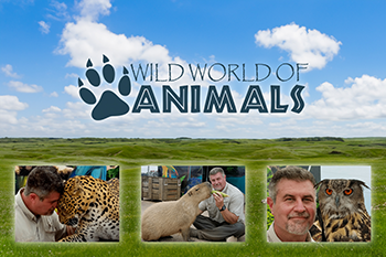 Wild World of Animals